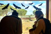 Aventura en Andalucía y Portugal · 7 días - Imagen 25