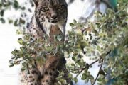 Aventura en Andalucía y Portugal · 7 días - Imagen 19