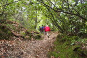 Aventura en Andalucía y Algarve · Semana de Reyes · 5 días - Imagen 20