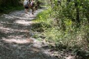 Aventura en Andalucía y Algarve · Semana de Reyes · 5 días - Imagen 28