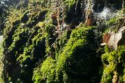 Aventura en Andalucía y Algarve · Semana de Reyes · 5 días - Imagen 21