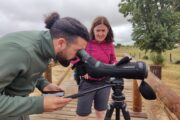 Aventura en Andalucía y Algarve · Semana de Reyes · 5 días - Imagen 24