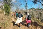 Aventura en Andalucía y Algarve · Puente de la Constitución · 5 días - Imagen 8