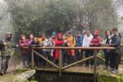 Aventura en Andalucía y Algarve · Especial Fin de Año · 7 días - Imagen 16
