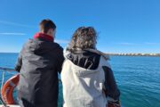 Aventura en Andalucía y Algarve · Especial Fin de Año · 7 días - Imagen 19