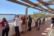 Aventura en Andalucía y Algarve · Puente de la Constitución · 5 días - Imagen 13