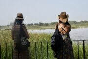 Aventura en Andalucía y Algarve · Puente de Todos los Santos · 6 días - Imagen 20
