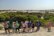 Aventura en Andalucía y Algarve · Puente de Todos los Santos · 6 días - Imagen 4