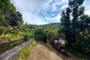 Aventura en las Azores · 7 días - Imagen 14