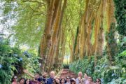 Aventura en las Azores · 7 días - Imagen 9