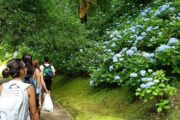 Aventura en las Azores · 7 días - Imagen 28