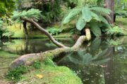 Aventura en las Azores · 7 días - Imagen 26