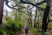Aventura en Andalucía y Algarve · Especial Fin de Año · 7 días - Imagen 6