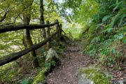 Aventura en Asturias · 7 días - Imagen 49