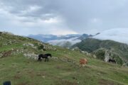 Aventura en Asturias · 7 días - Imagen 30