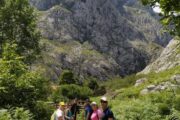 Aventura en Asturias · 7 días - Imagen 23