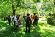 Aventura en Asturias · 7 días - Imagen 26